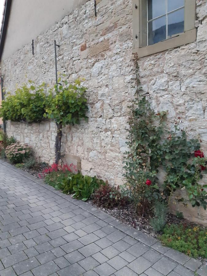Fewo Koerner Seinsheim Im Weinparadies Dış mekan fotoğraf